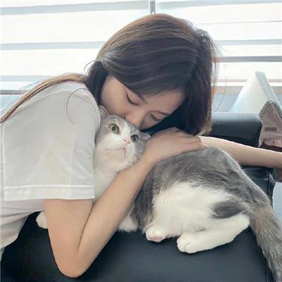 仙后座 在线观看